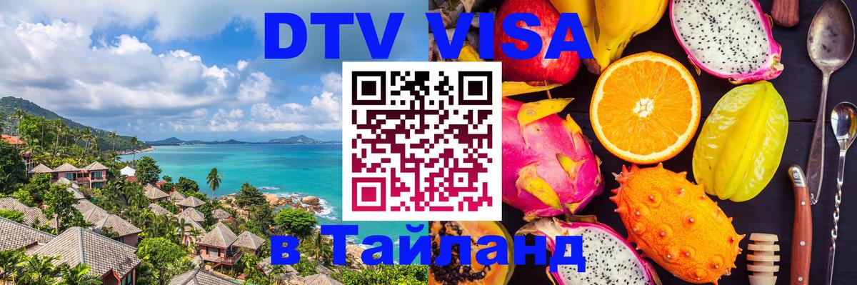Сколько стоит DTV виза — актуальные цены, оформление даже без документов - 19.11.2025 